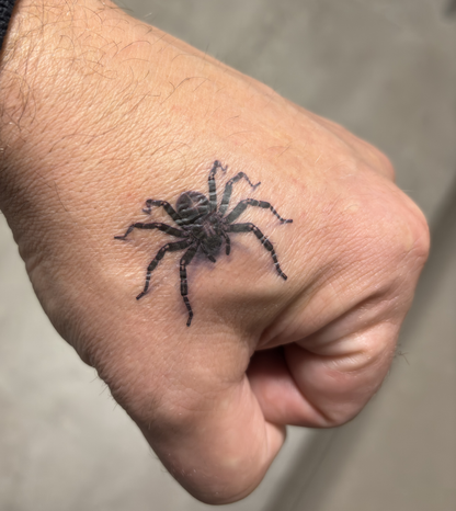 Fake Tattoo Spider Halloween No 1_1